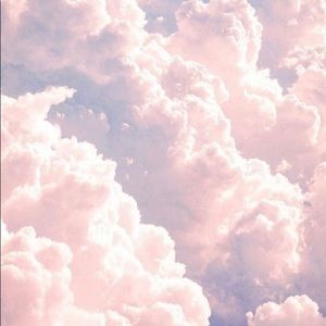 Meet your Posher, Leila